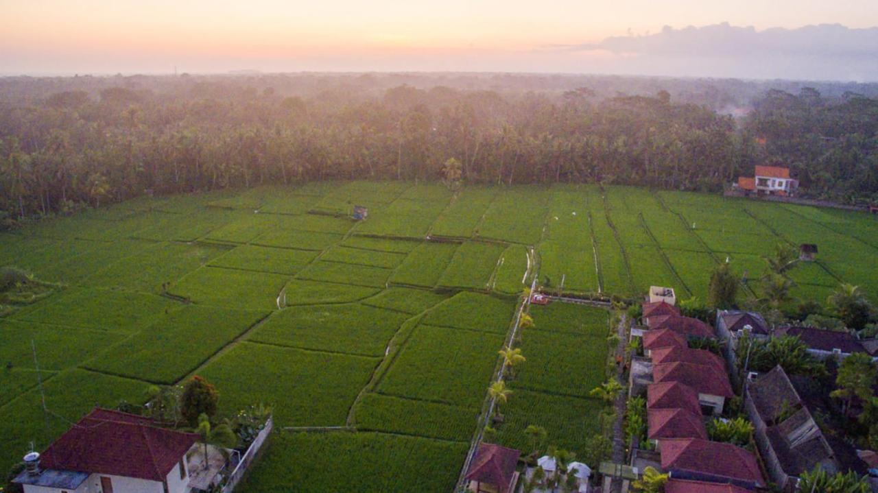 De Sawah Satoe Villa And Resort Ubud (Bali) Exterior photo